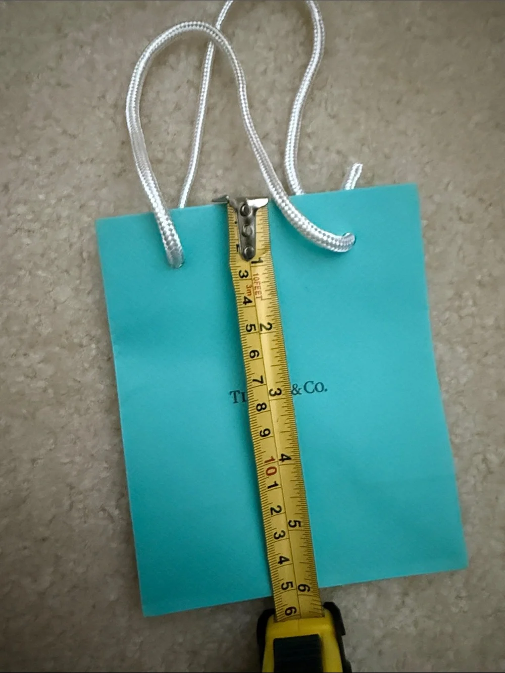 Small Tiffany & Co. shopping bag
